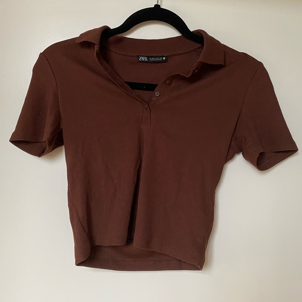 Zara brown ribbed collared crop top